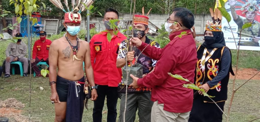 Koppad Borneo Lakukan Penanaman 1000 Bibit Pohon Dan Akan Membangun Dayak Center Sebagai Pusat Wisata Budaya Kalimantan Pamungkasnews Koppad Borneo Lakukan Penanaman 1000 Bibit Pohon Dan Akan Membangun Dayak Center Sebagai Pusat Wisata Budaya Kalimantan Pamungkasnews